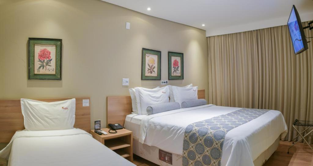 Aracatuba Plaza Hotel Ngoại thất bức ảnh